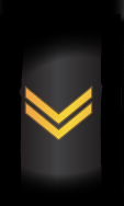 Petty Officer 2nd Class